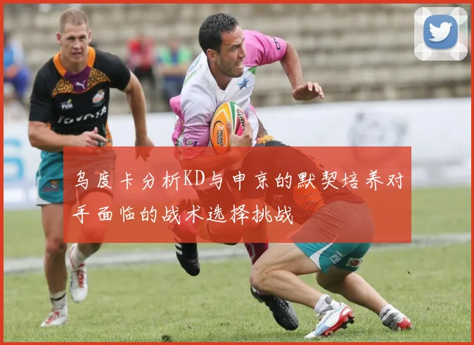 乌度卡分析KD与申京的默契培养对手面临的战术选择挑战